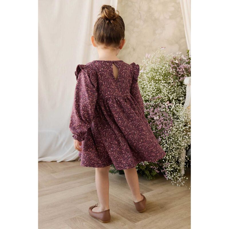 Jamie Kay Organic Cotton Frankie Dress 3-5Y image number 2